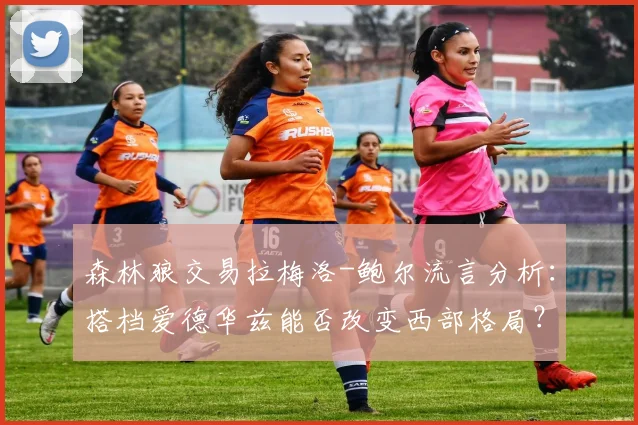 森林狼交易拉梅洛-鲍尔流言分析：搭档爱德华兹能否改变西部格局？