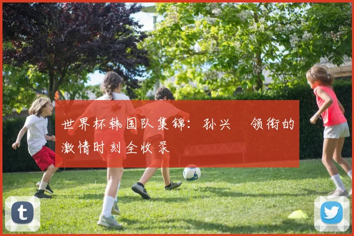 世界杯韩国队集锦：孙兴慜领衔的激情时刻全收录