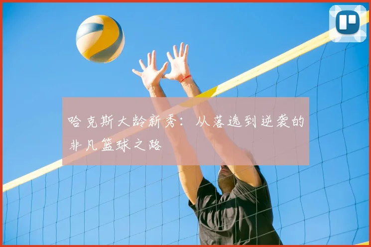 哈克斯大龄新秀：从落选到逆袭的非凡篮球之路