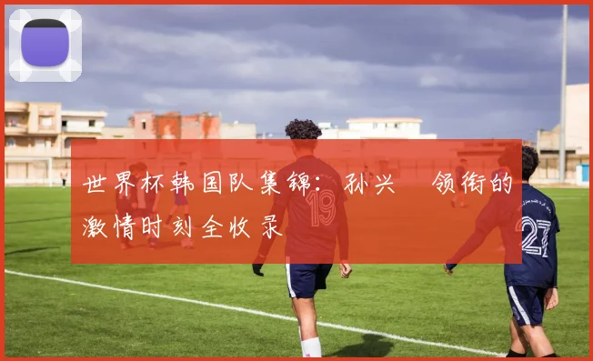 世界杯韩国队集锦：孙兴慜领衔的激情时刻全收录